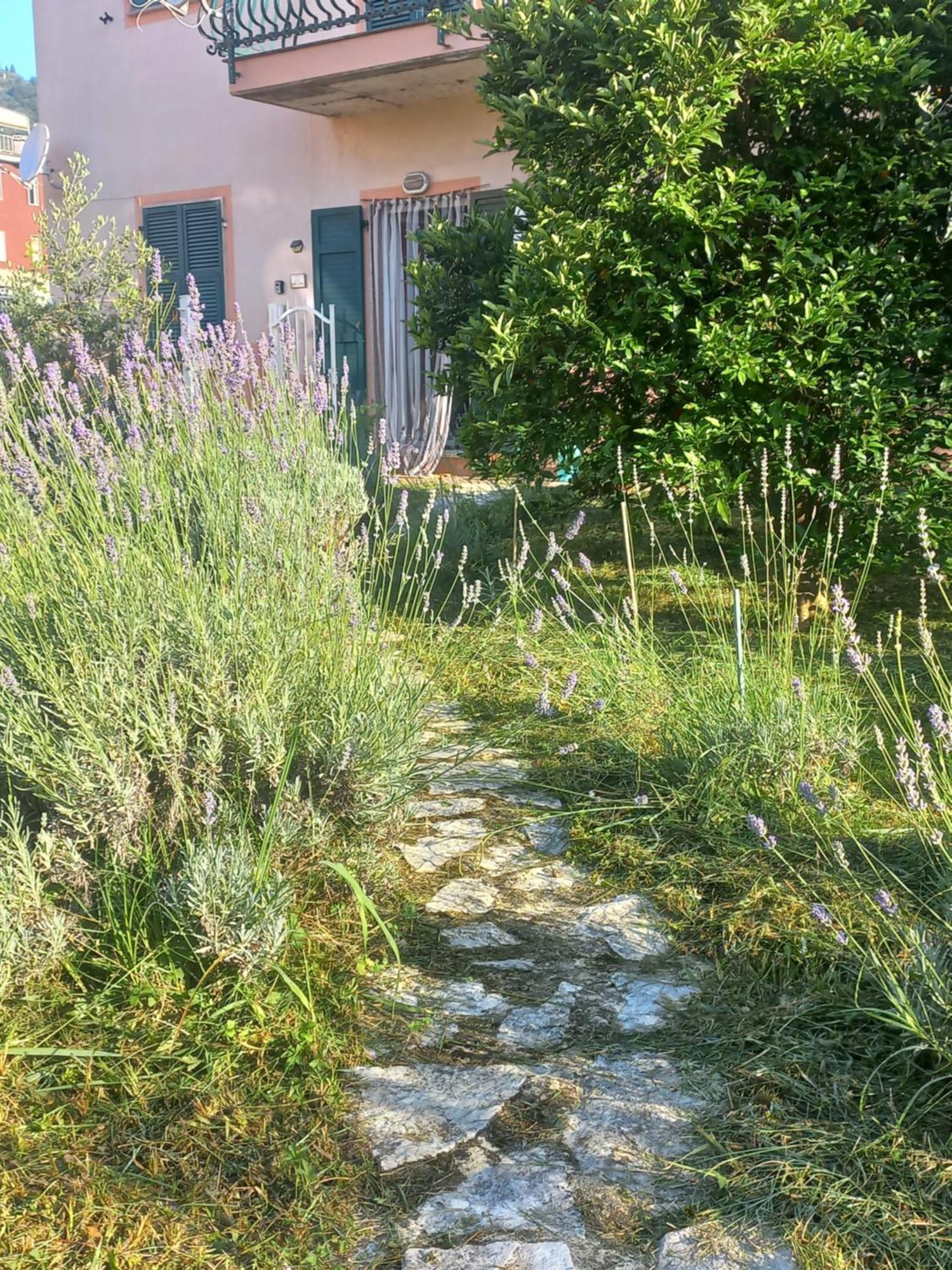 La Casa Di Ulivi Villa Piano di Follo Exterior foto